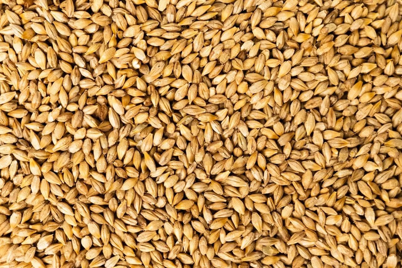Feed Milling Plant - Al Hanaky Group