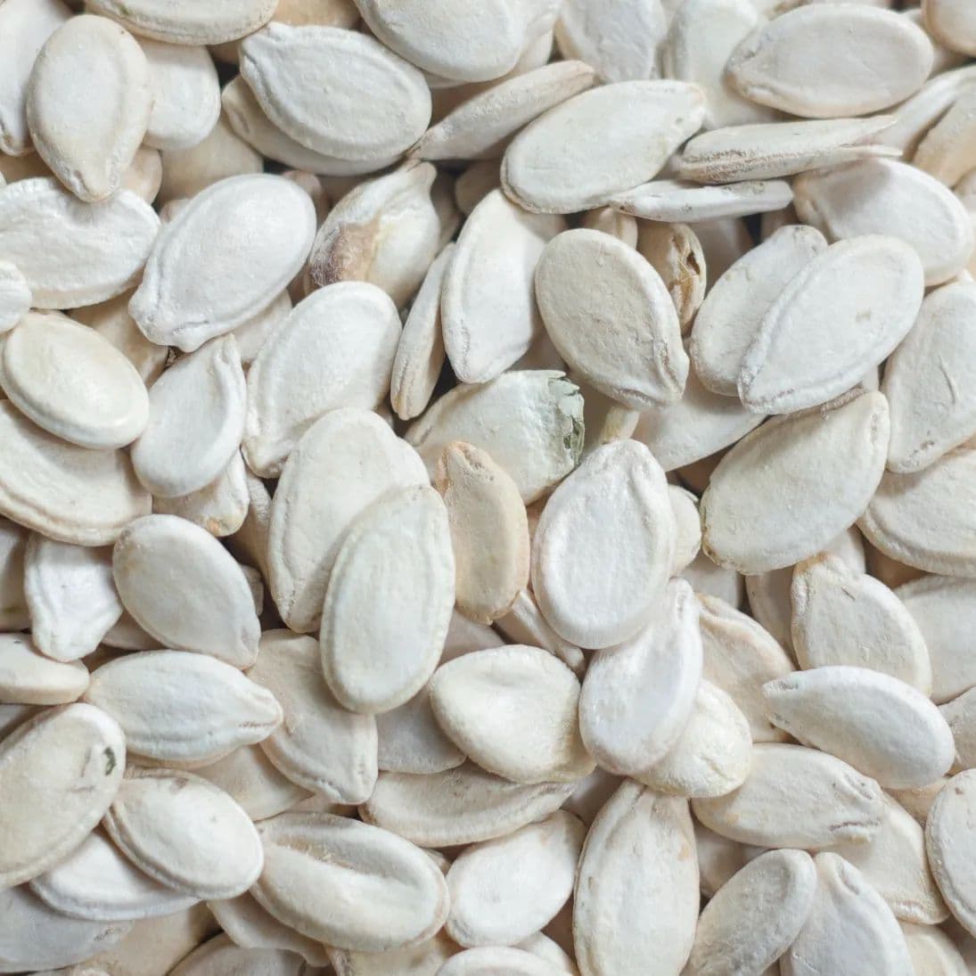 Watermelon Seeds — Jumbo Grade