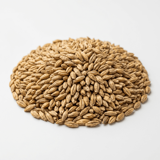 Grain Flaking Systems