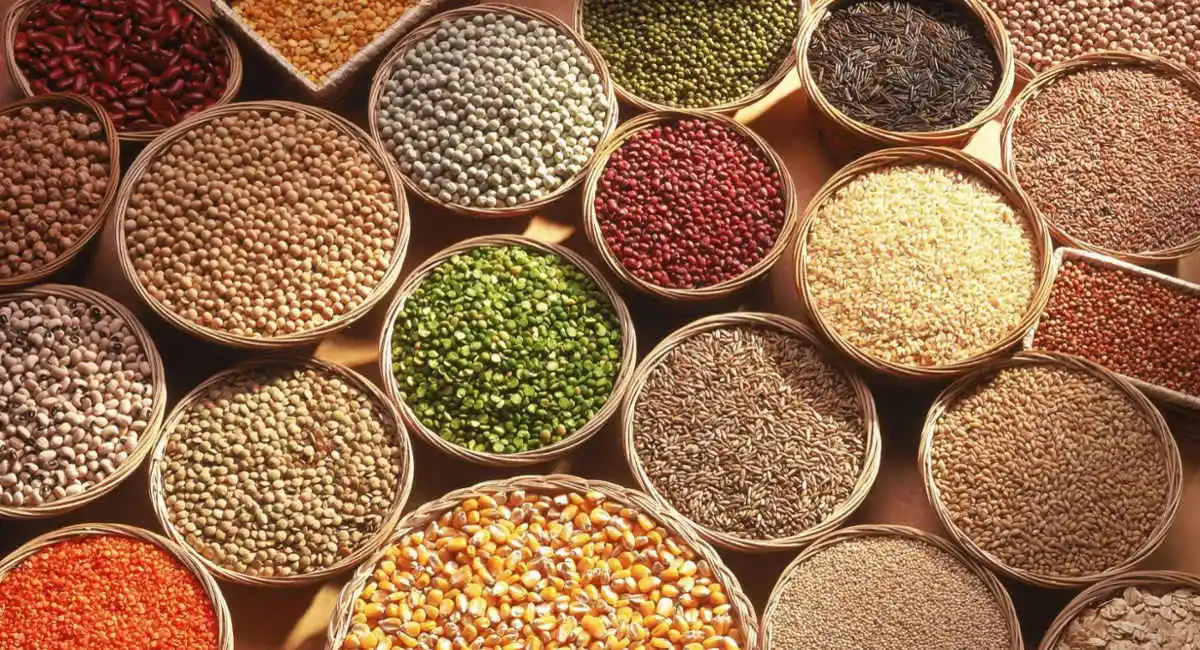 Commodity Trading
